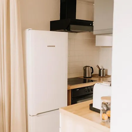 Cosy L Xxl Parkplatz & Netflix & Schluesselbox Apartment